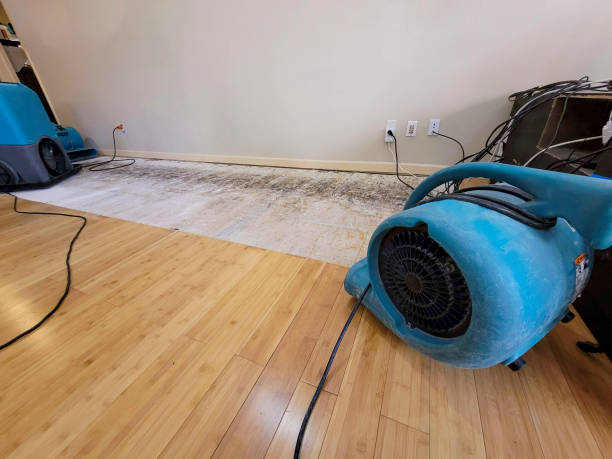 Reliable Basement Flood Cleanup contractor in Mount Vernon, SD by Hirex Water Damage