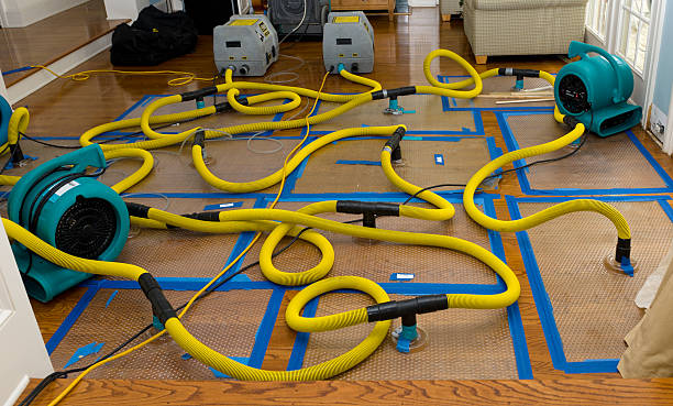 Professional Basement Flood Cleanup technician working in Mount Vernon, SD